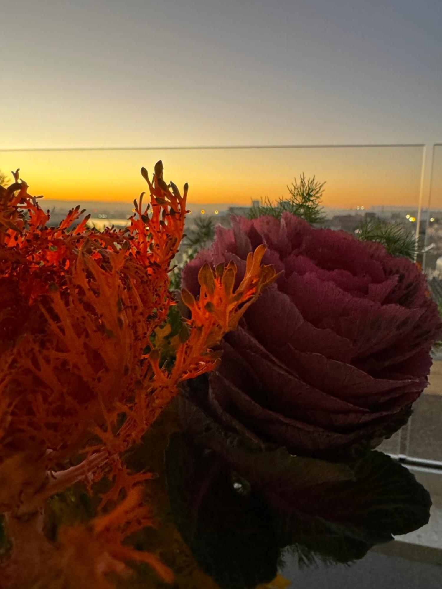 לינה וארוחת בוקר סירקוזה La Terrazza Sul Porto מראה חיצוני תמונה