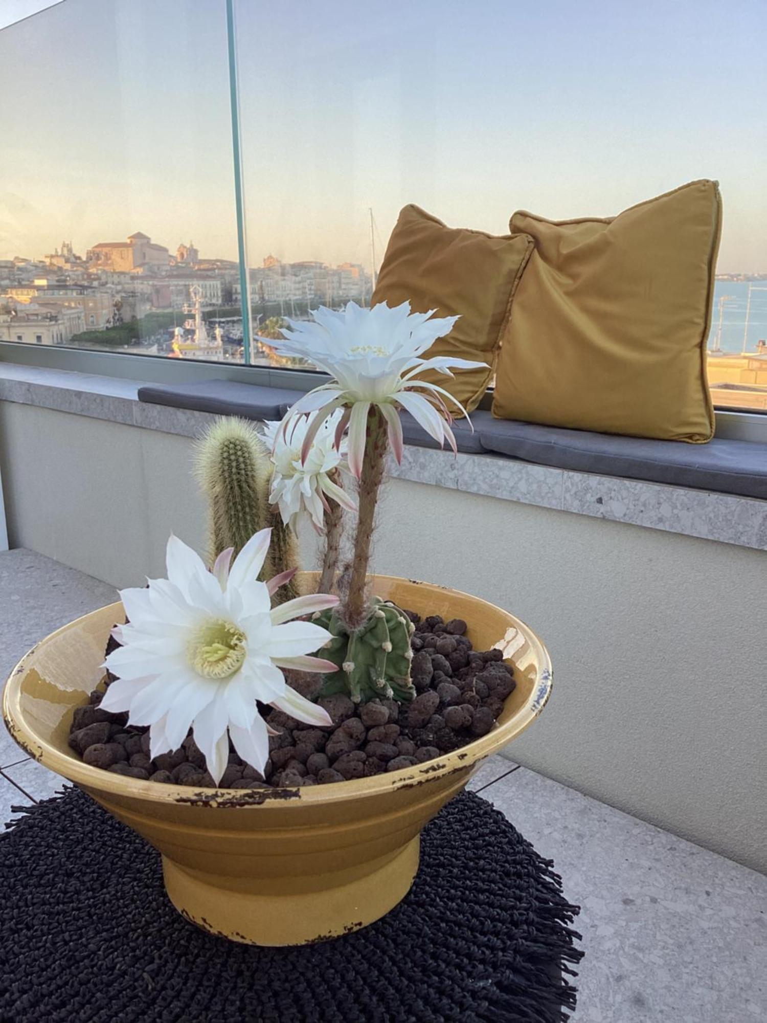 לינה וארוחת בוקר סירקוזה La Terrazza Sul Porto מראה חיצוני תמונה