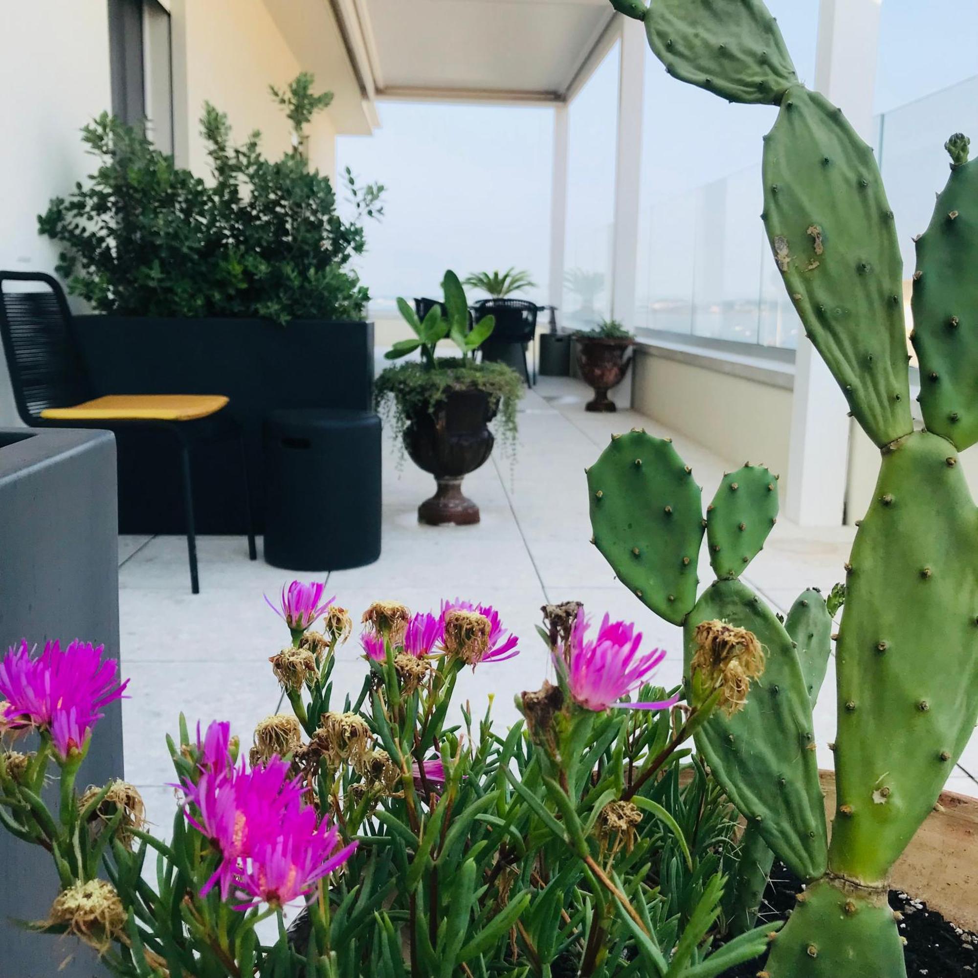לינה וארוחת בוקר סירקוזה La Terrazza Sul Porto מראה חיצוני תמונה